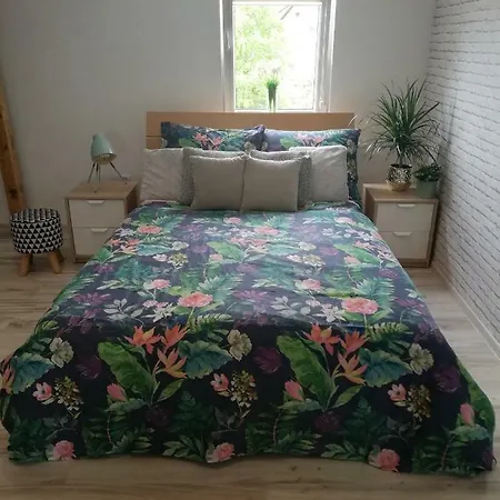 120M2 Apartament Las I Jezioro Apartment Czluchow
